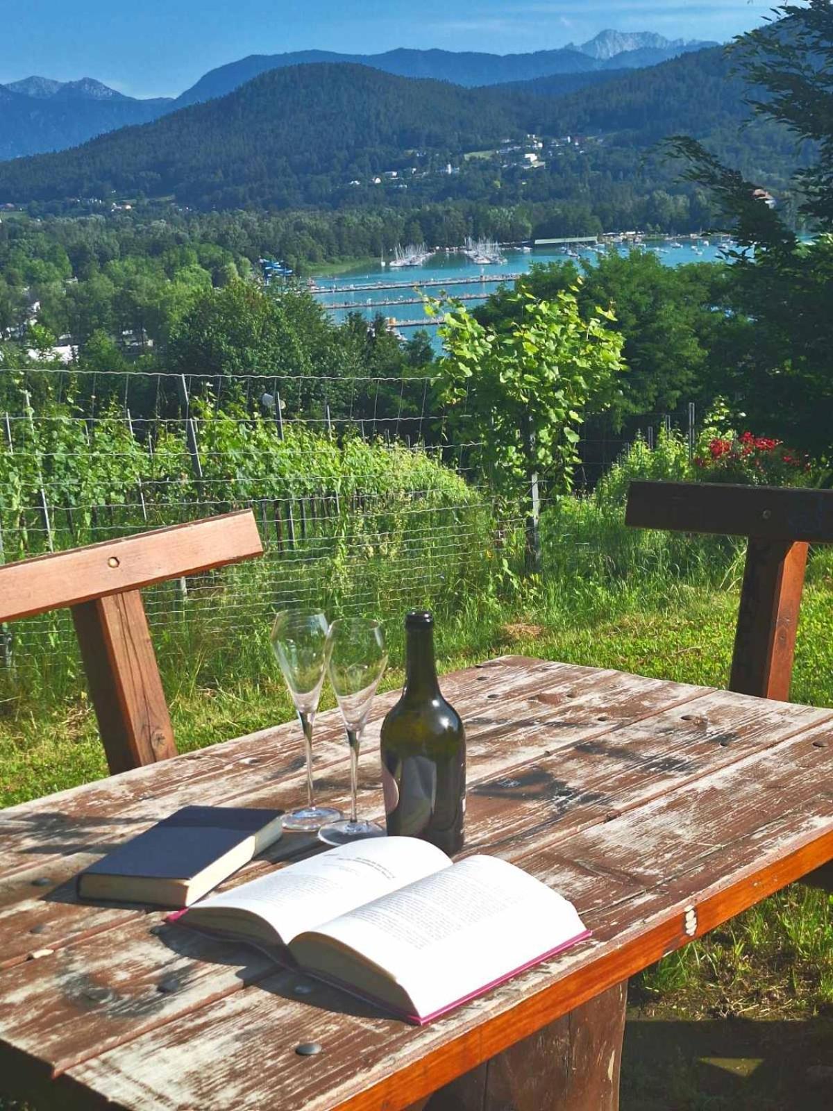 La Vida Appartment 1 Klagenfurt am Woerthersee Екстер'єр фото