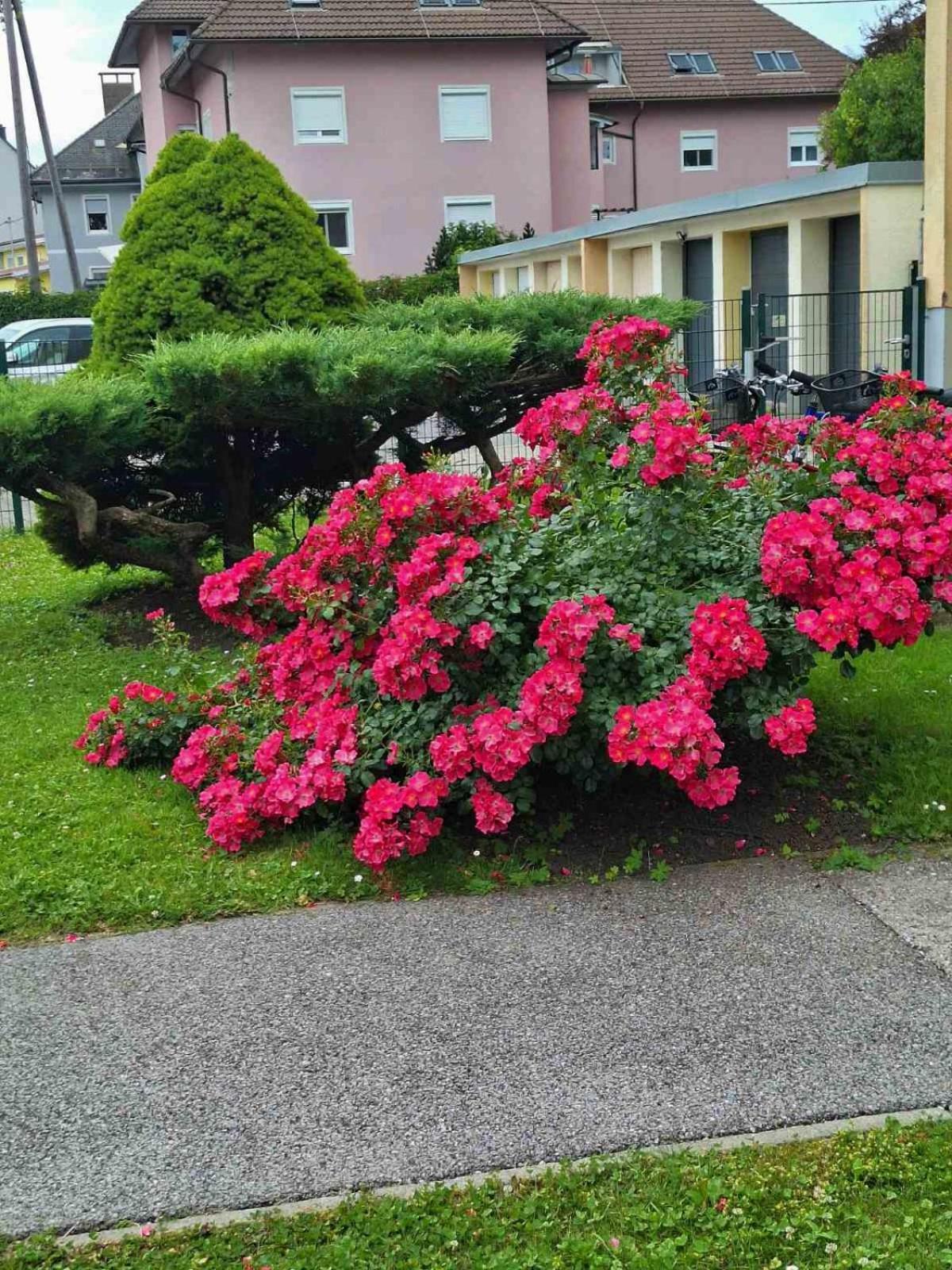 La Vida Appartment 1 Klagenfurt am Woerthersee Екстер'єр фото